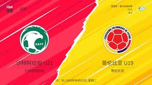 麦克托米奈谈意甲冠军：渴望更高成就不止步